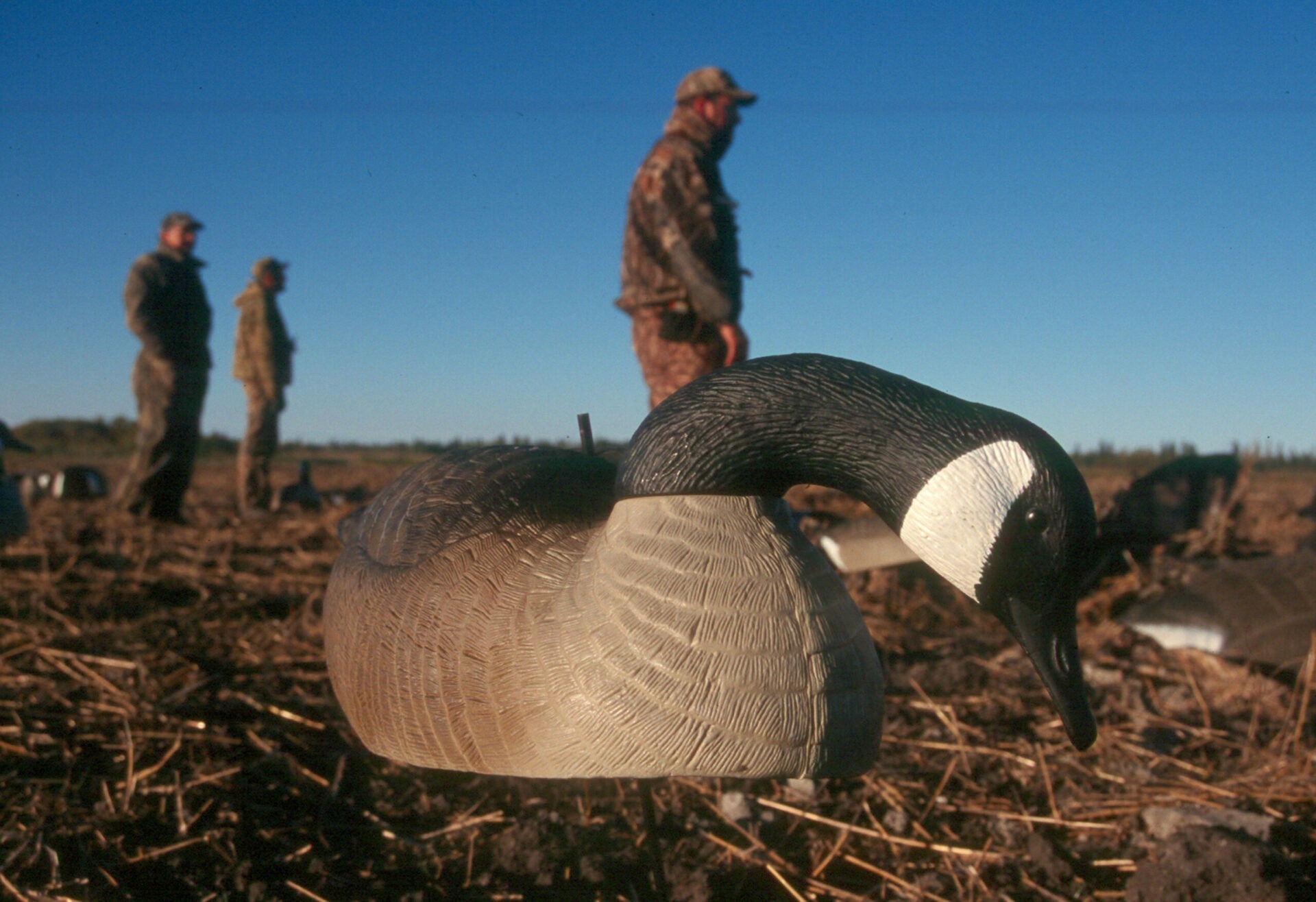 7 Old-School Geese Hunting Strategies that Hold Up