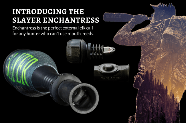 First of its kind': Slayer Calls unleashes new class of elk push call