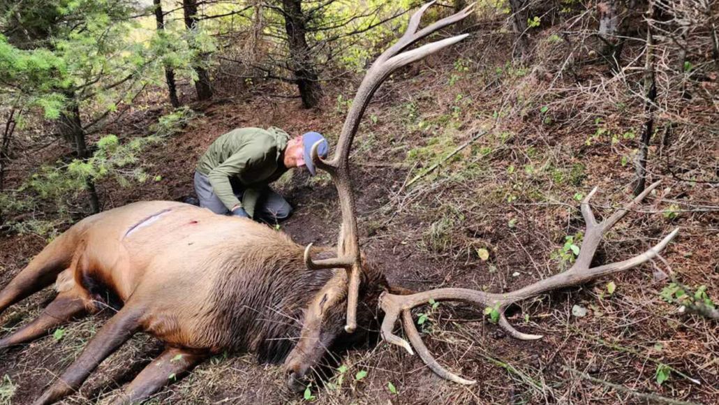 Q&A with Robert Albers: Ethical archery and how far is too far?