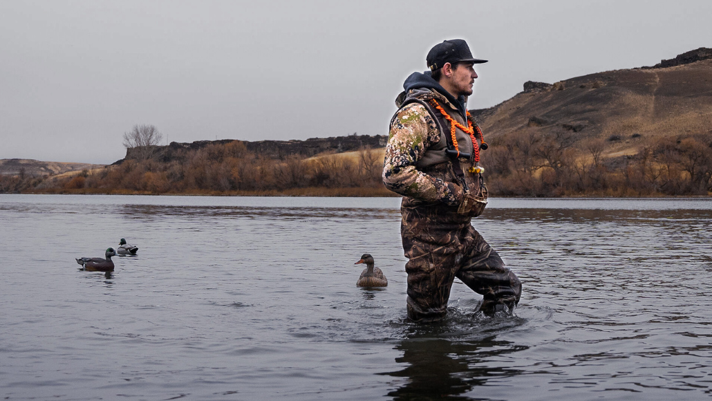 A waterfowl hunter in camouflage is aiming at a flock of mallards coming towards a body of water.