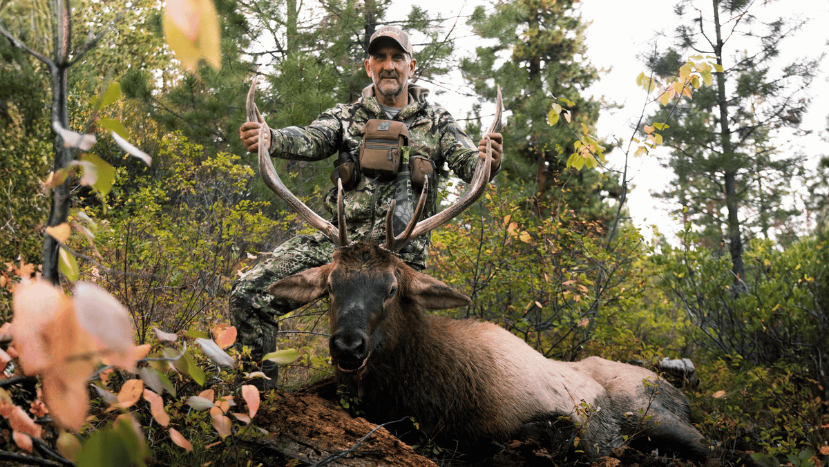 Slayer call builder and archery elk hunter, Joe McCarthy posing with harvested bull elk.