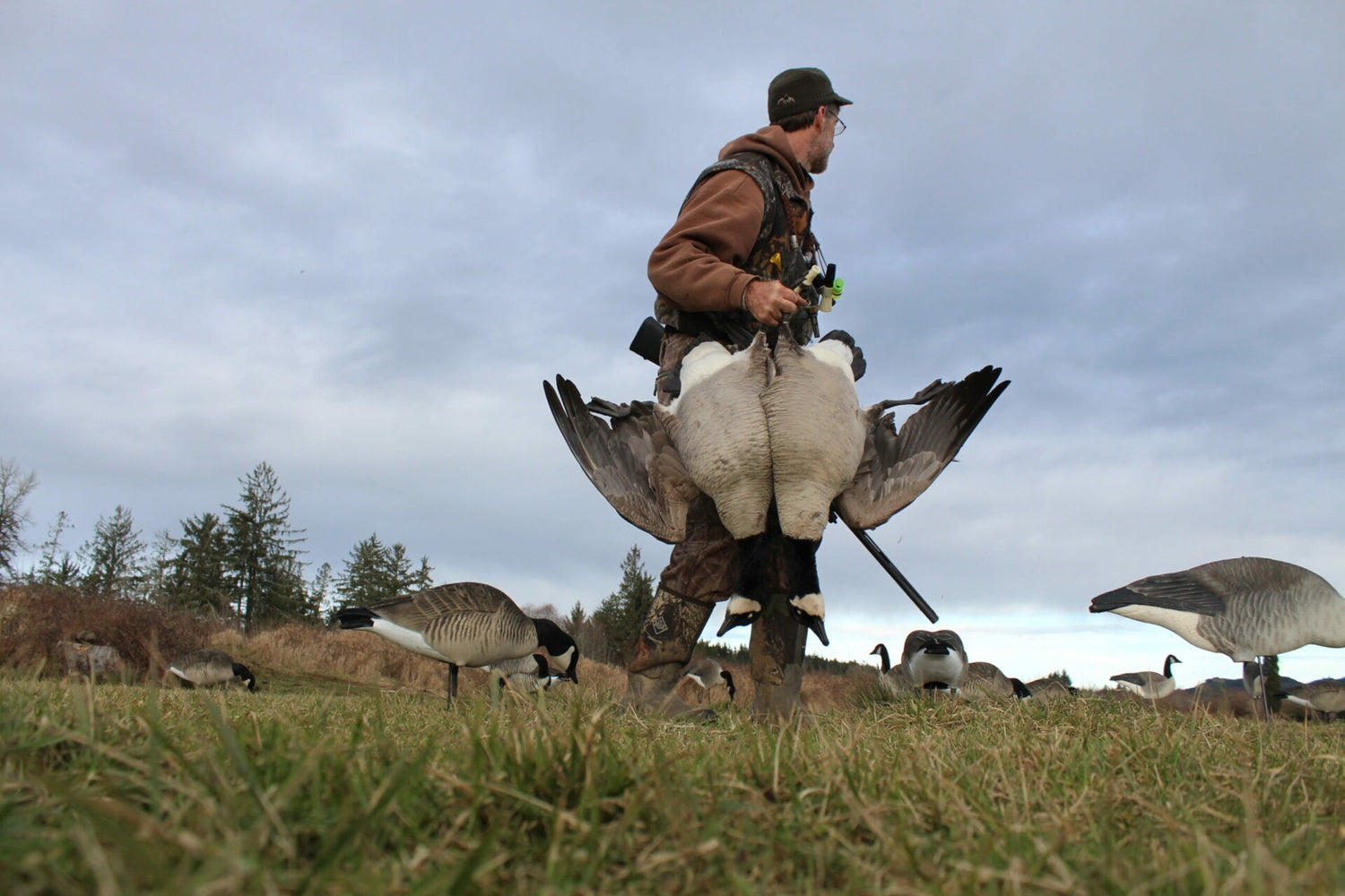 Tips for hunting late-season Canadas