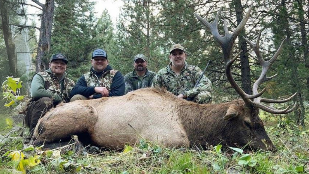 a group of elk hunters posing with an elk in the woods