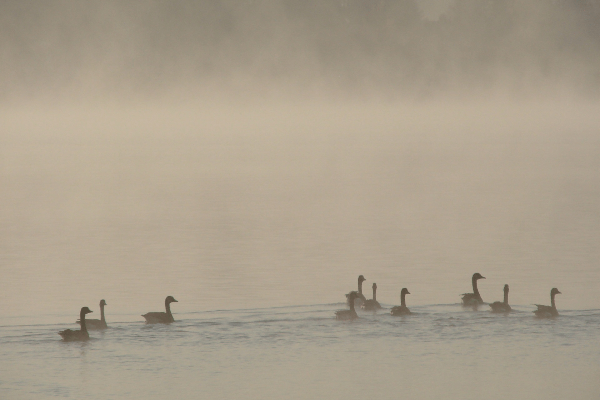 How to hunt ducks in stormy, foul weather: Part 1