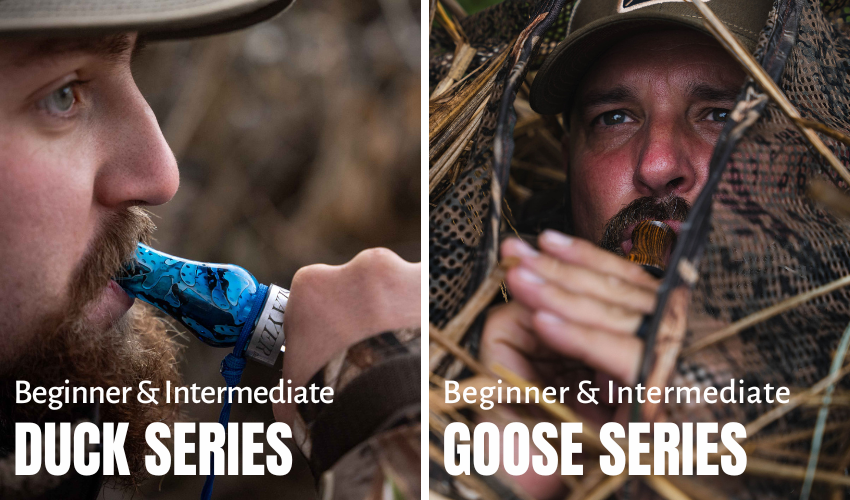 Beginner & Intermediate Duck Series | Beginner & Intermediate Goose Series