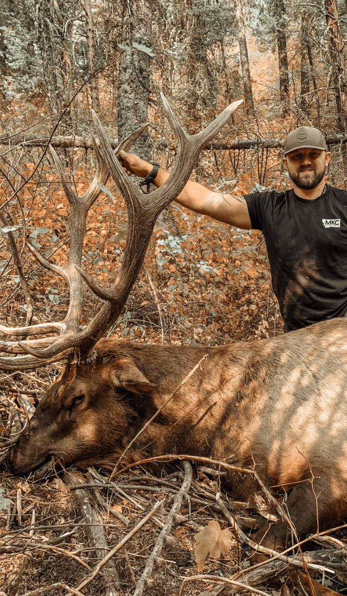 Cody McCarthy with bull down