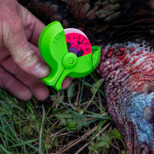 The PAC'r turkey reed holder with three turkey reeds inside pictured next to a harvested turkey 