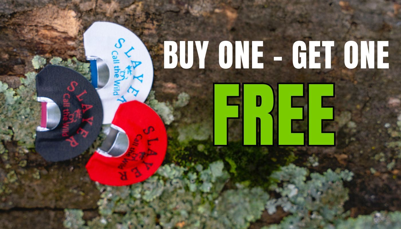 Clearwater elk reeds from Slayer Calls show on tree trunk with promo text buy one get one free