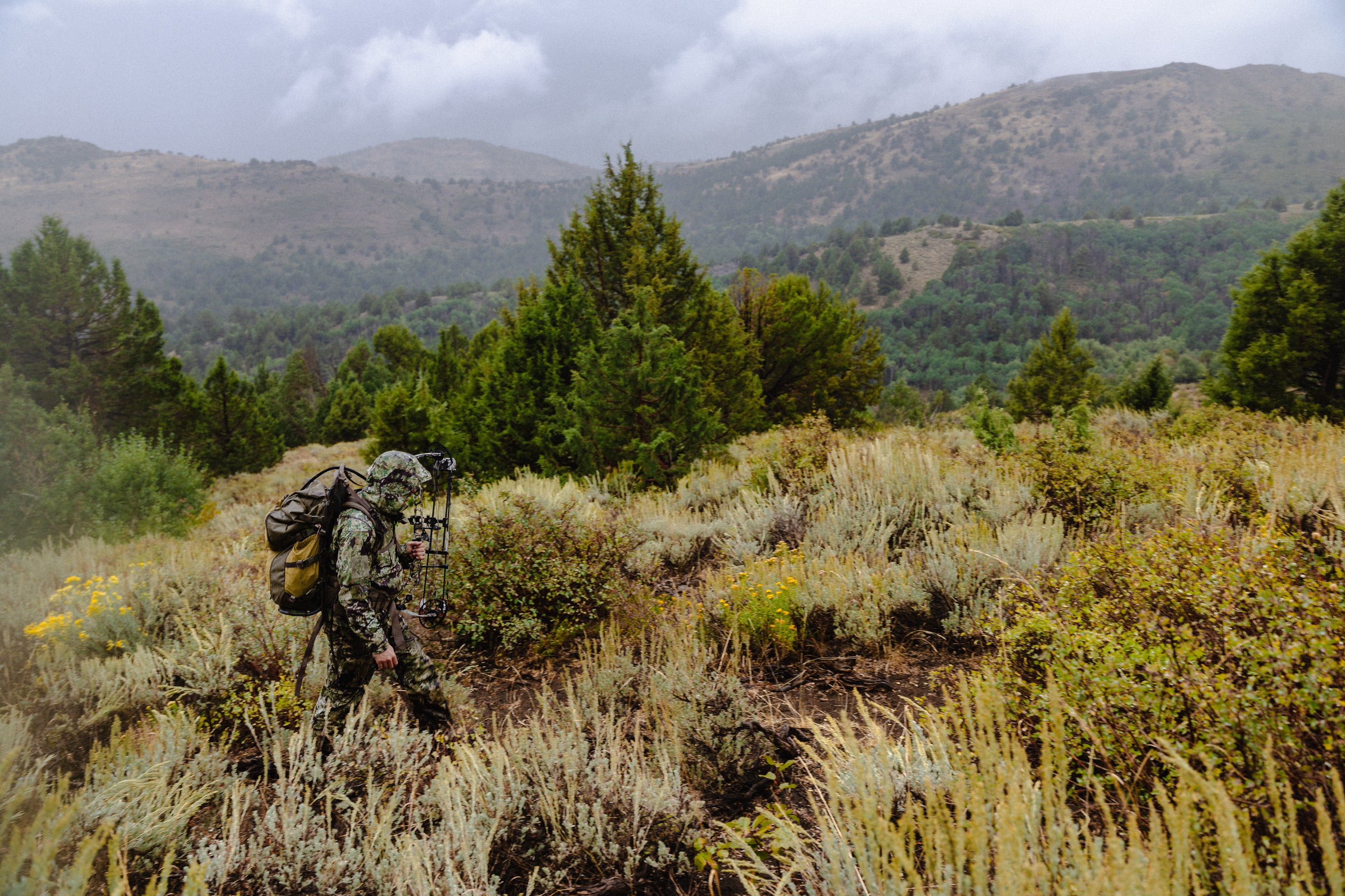 Hunter hunting in woods
