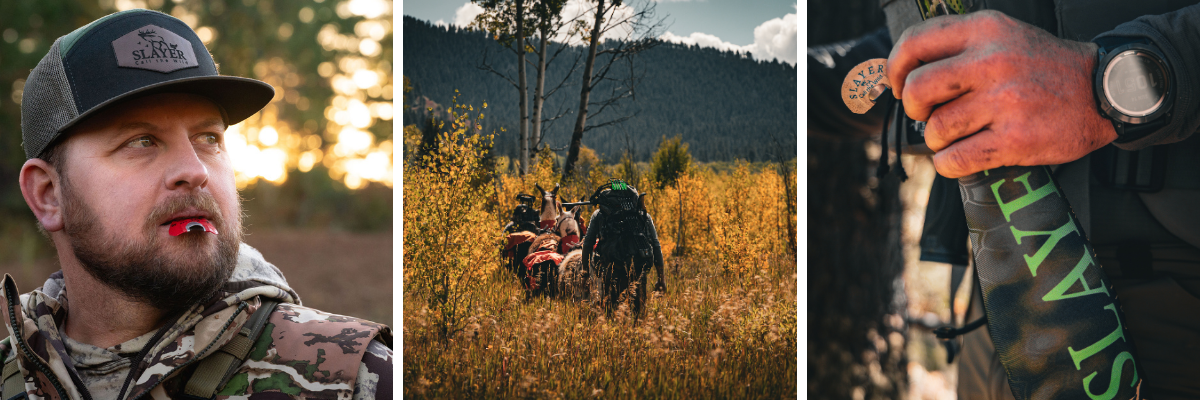 Collage of a elk hunter outdoors,, one running an elk reed, the second moving through the elk woods with pack out animals and the third showing a close-up of a hand holding a an elk bugle tube.