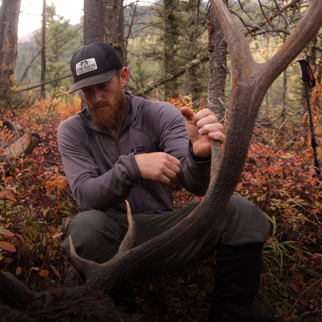 Wyoming elk hunter with harvested bull elk rack during fall hunt. Slayer Calls hunter displays successful trophy in dense timber country.