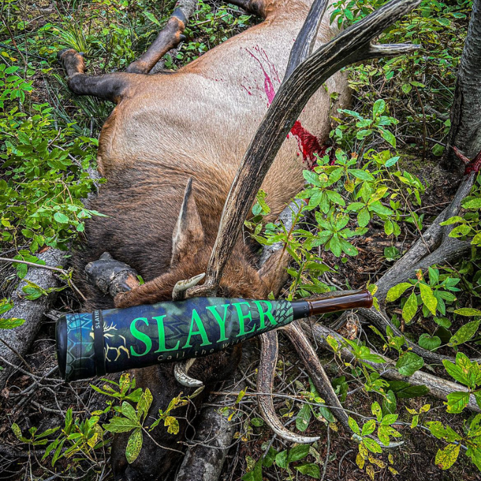 Successful elk hunt using Slayer Calls' Clrearwater Series Elk Reeds and ArchAngel bugle tube. Just harvested bull elk.