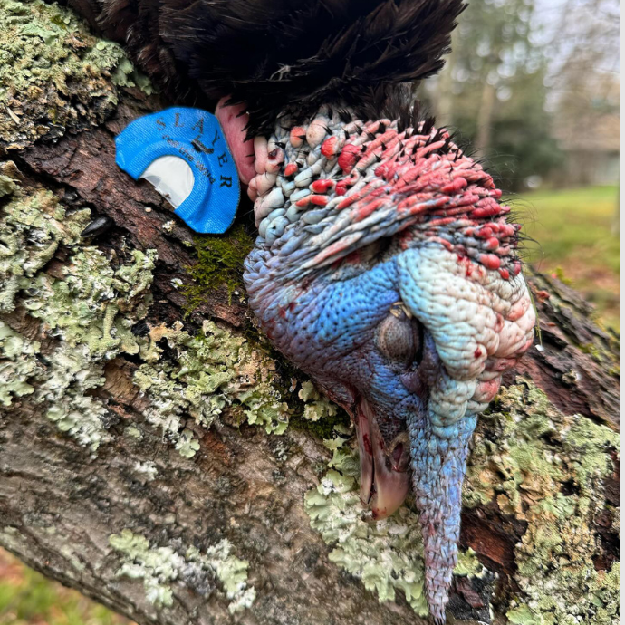 Slayer’s Turkey Trio - Slayer Duck Calls