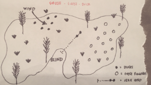 The Goose-Goose-Duck decoy layout - hand-drawn