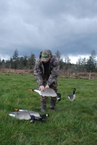 Goose hunting with silhouette decoys