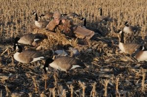 Duck hunter hides in Avery Outfitter Layout