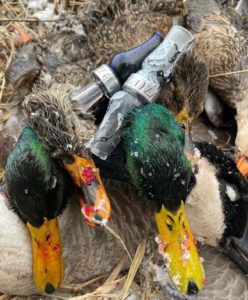 Avoid frozen duck call reeds by having a back up duck call