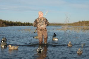 Man wading in water hunting Canada geese