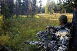 Elk hunter sitting against tree with bow