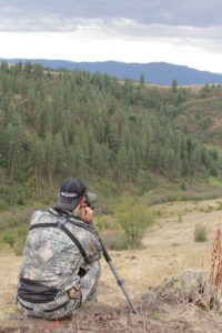 Elk hunter scouting
