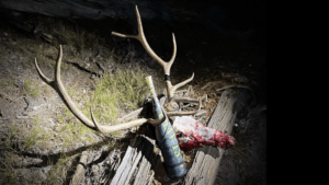 Elk downed with Slayer's ArchAngel, maximize out of state elk hunts
