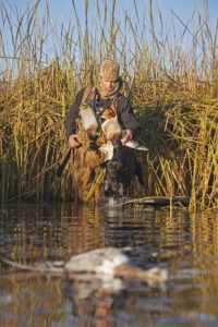 pre-season waterfowl checklist, duck hunter wading through water to retrieve duck