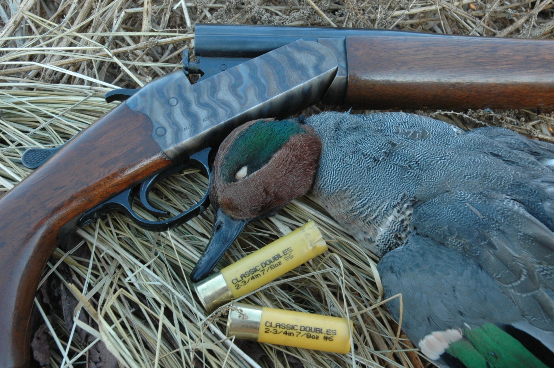 Why I prefer the 20-gauge shotgun to hunt ducks