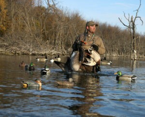 Hunter in the water with duck and goose decoys