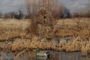 Hunter in a duck blind —Geese hunting strategies