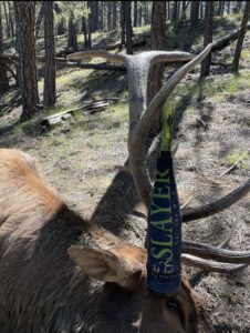 Bull down using Slayer's ArchAngel acrylic elk call in green marsh