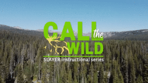 Video clip of Cody McCarthy working with Matt Carey on how to call elk