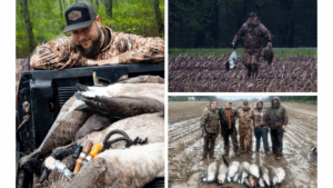 Hunter in the field - hunting geese and ducks