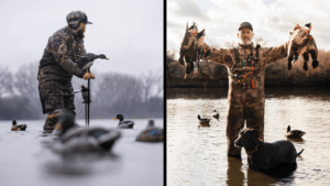 waterfowl hunters work duck decoys and show harvested mallards