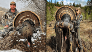 Turkey hunters have success in the field